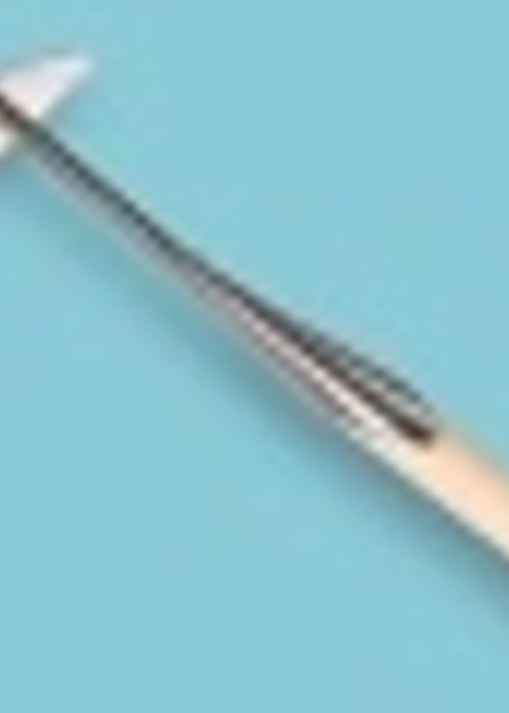 ATLAS Gesmede hak 16 cm, ATLAS met steel 170 x 3,0 cm BLANK