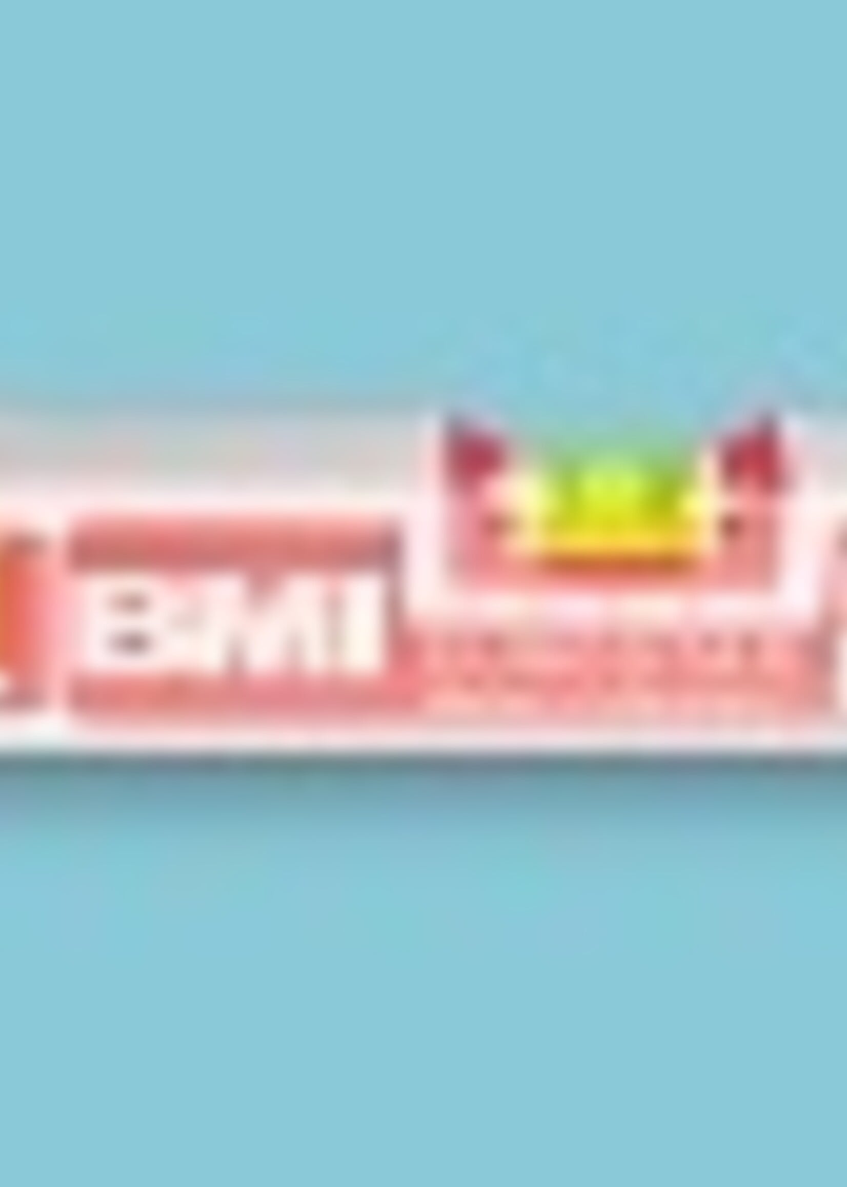 BMI BMI Alu. blokwaterpas Eurostar 60 cm