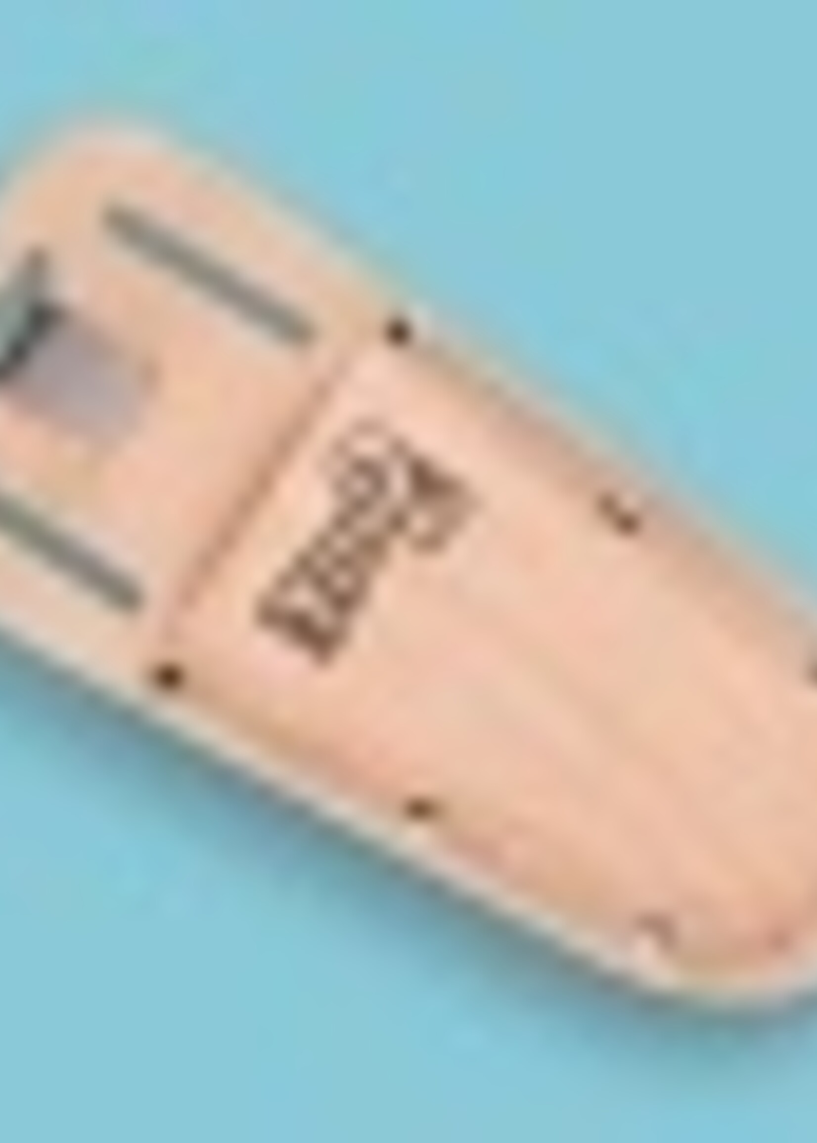 Titan Lederen Holster voor Titan 2
