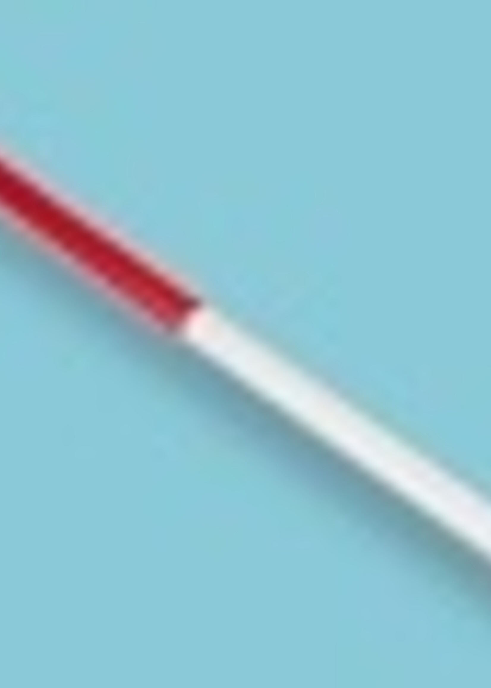 NESTLE Jalonstok Rood met stalen punt