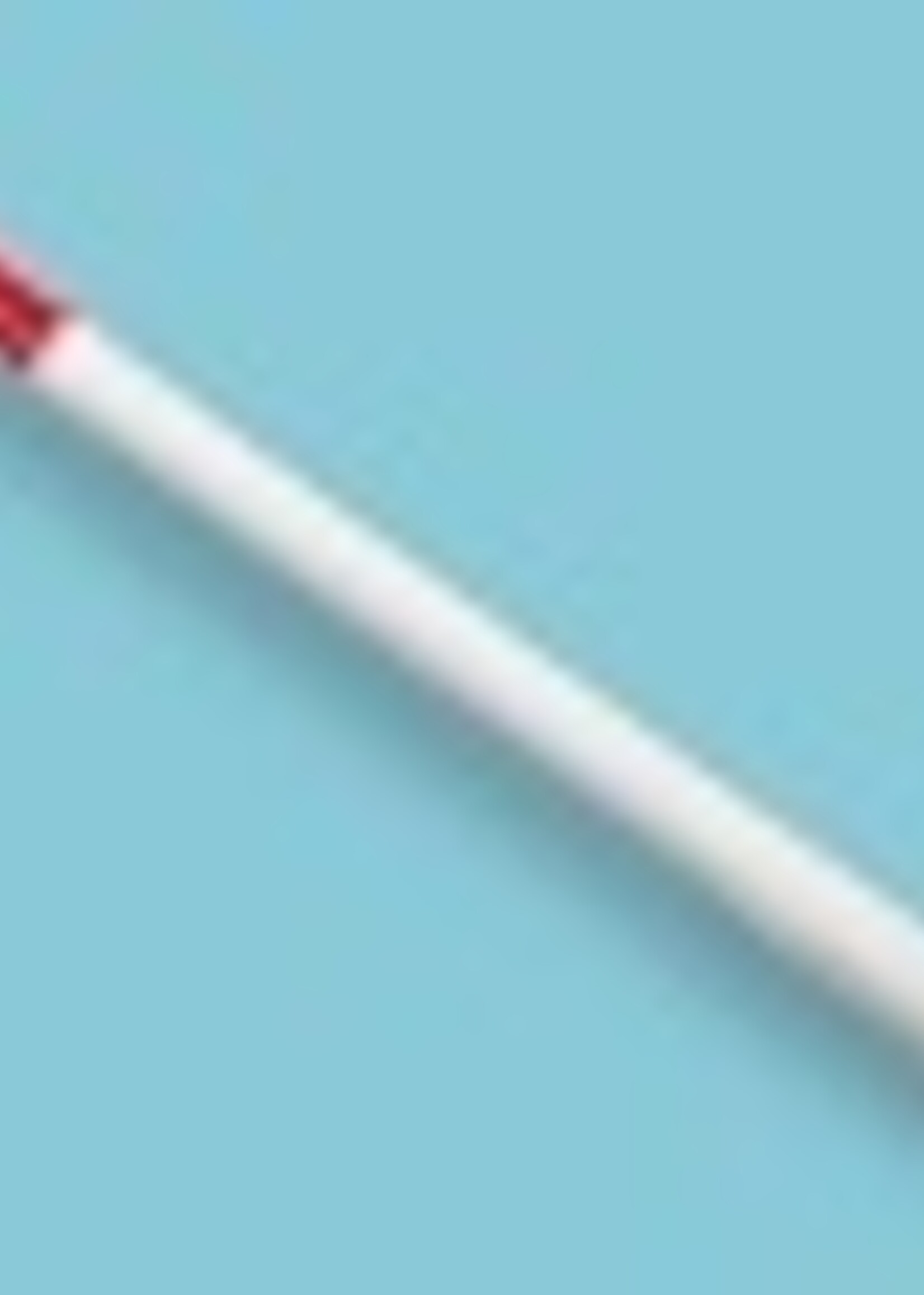 NESTLE Jalonstok Rood met stalen punt