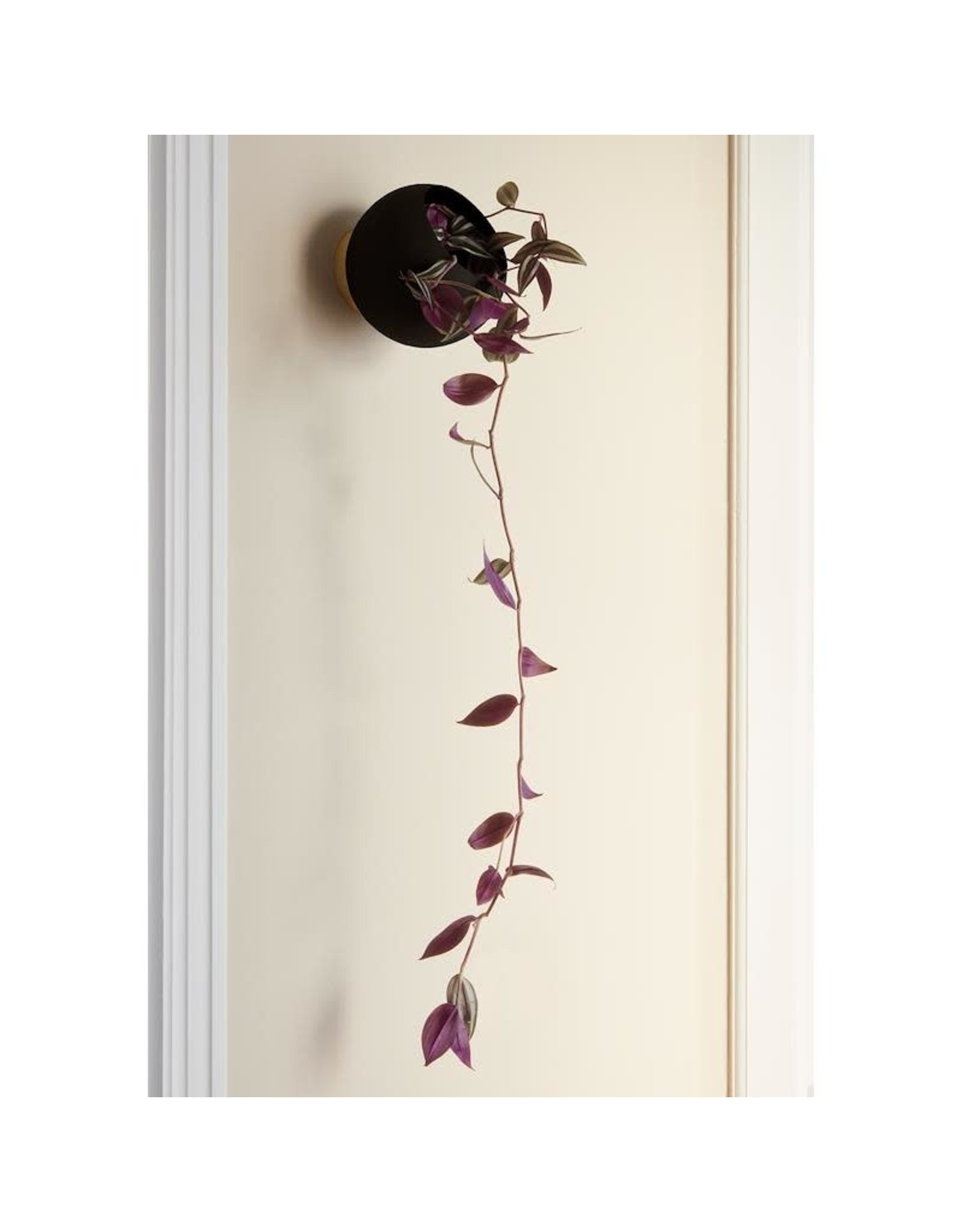 AYTM Globe Wall Flowerpot Black D17xH15,4cm