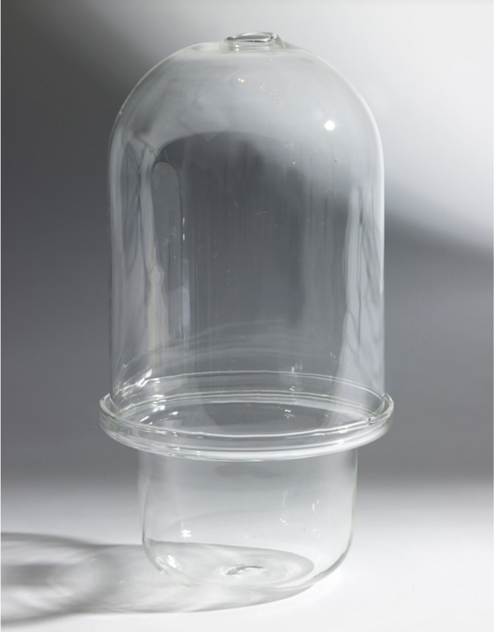 Serax Carnivore Vase Transparant