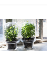 Serax Carnivore Vaas XL Transparant