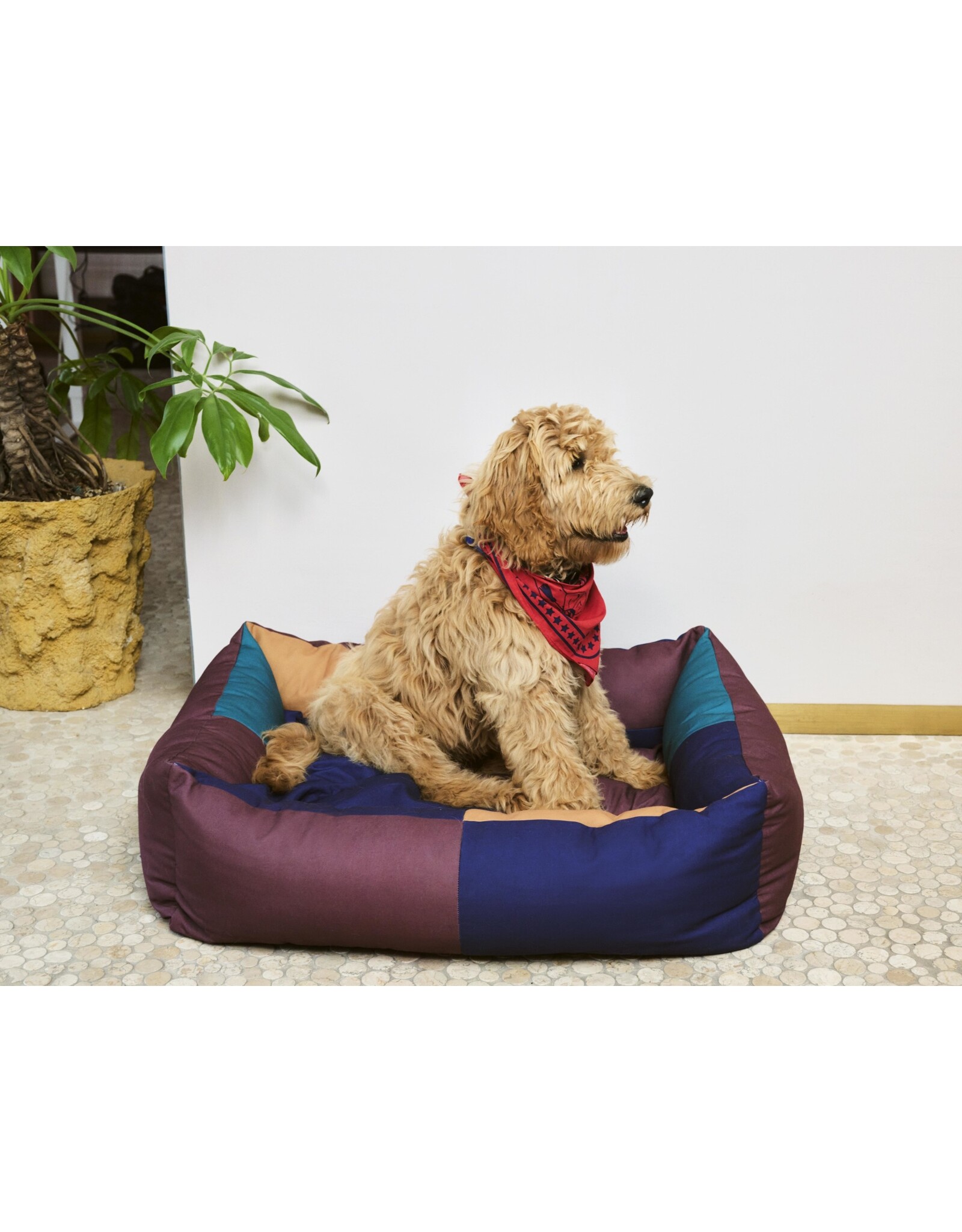 HAY HAY Dogs Bed-Large-Burgundy, green