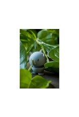 Hoptimist Hoptimist Soft Rhino