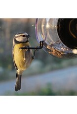 Born In Sweden - Voederhuisje Raam - Transparant - 20 x 18 cm