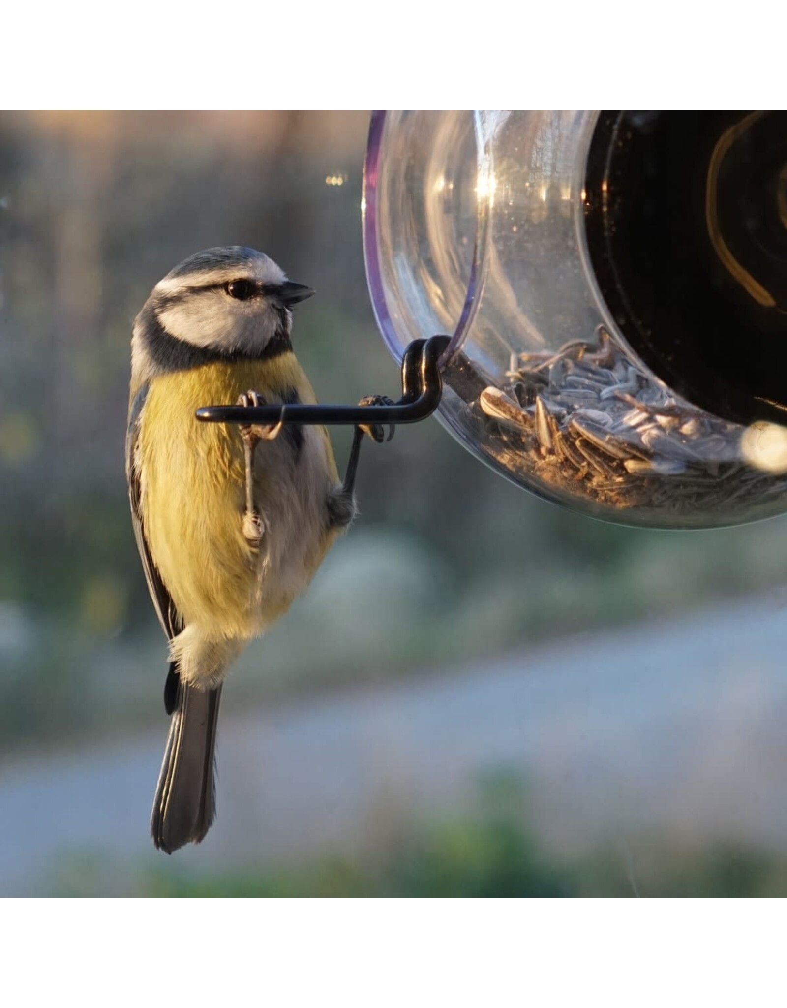 Born In Sweden - Voederhuisje Raam - Transparant - 20 x 18 cm