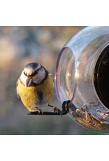 Born In Sweden - Voederhuisje Raam - Transparant - 20 x 18 cm