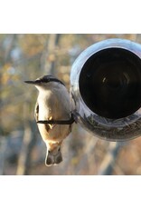 Born In Sweden - Voederhuisje Raam - Transparant - 20 x 18 cm