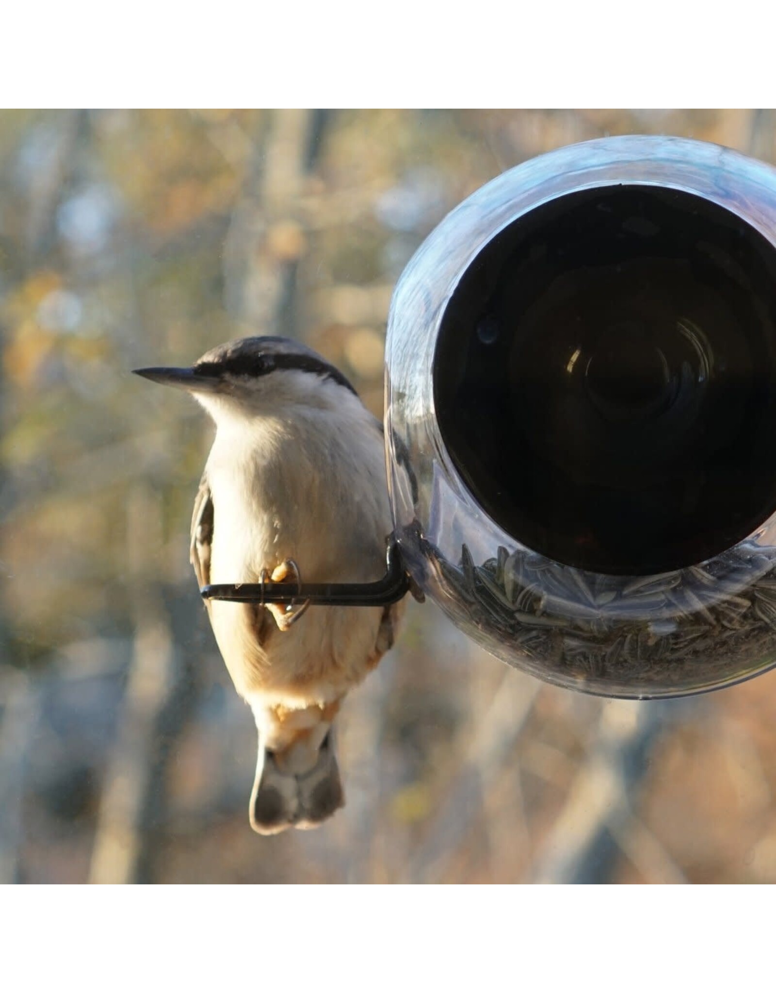 Born In Sweden - Voederhuisje Raam - Transparant - 20 x 18 cm