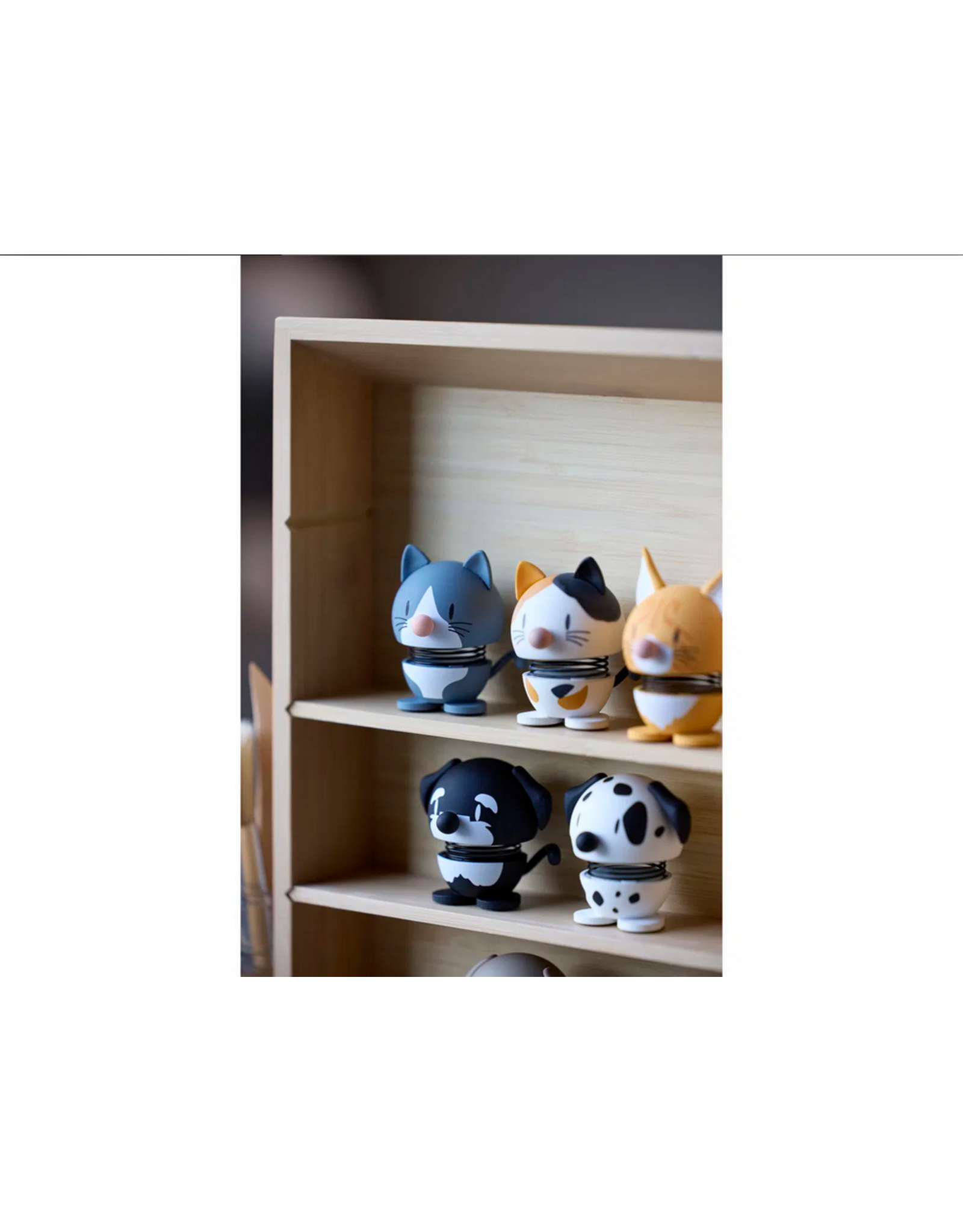 Hoptimist Hoptimist Blue American Shorthair XS Blue