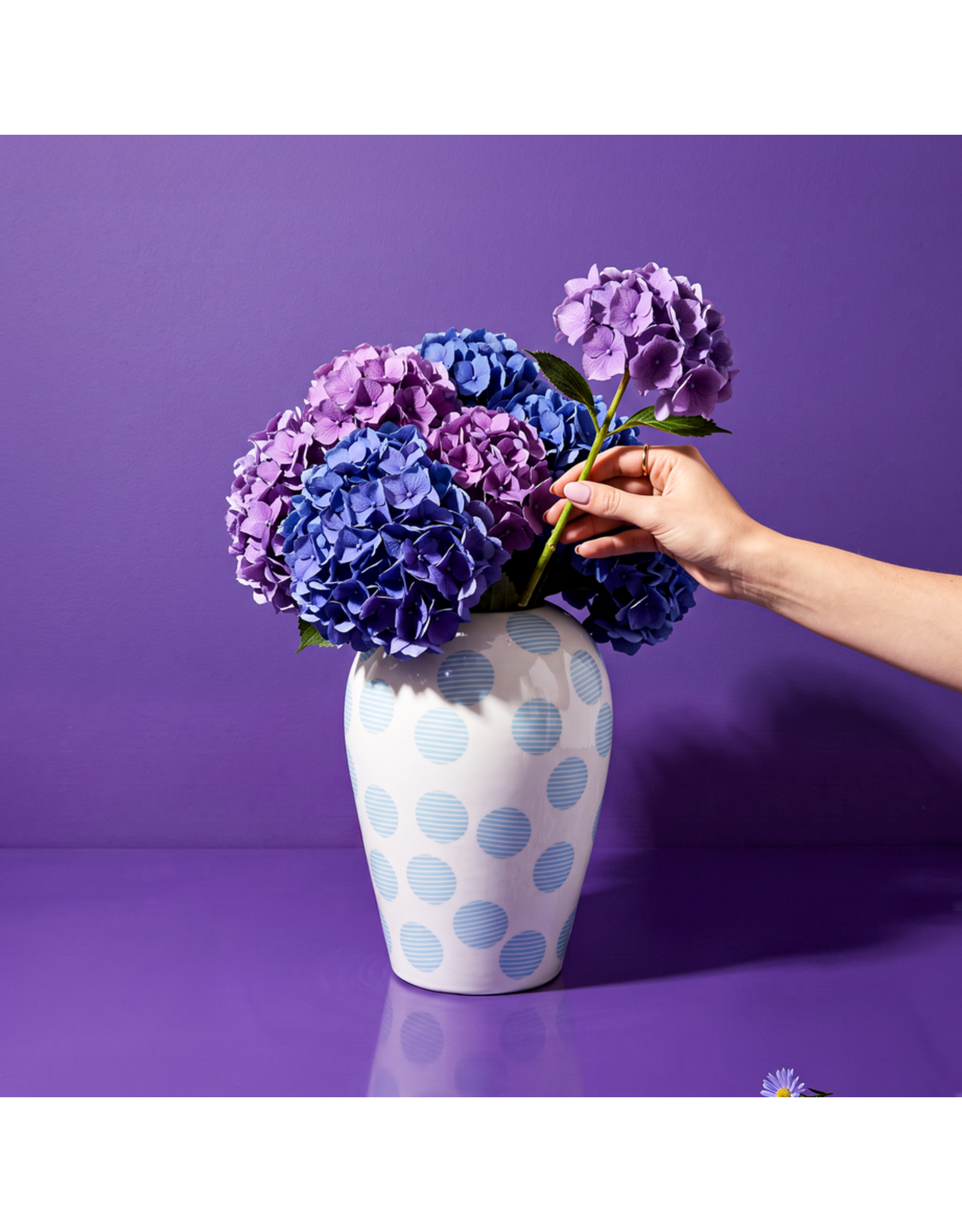 Seletti Canopie KIKI