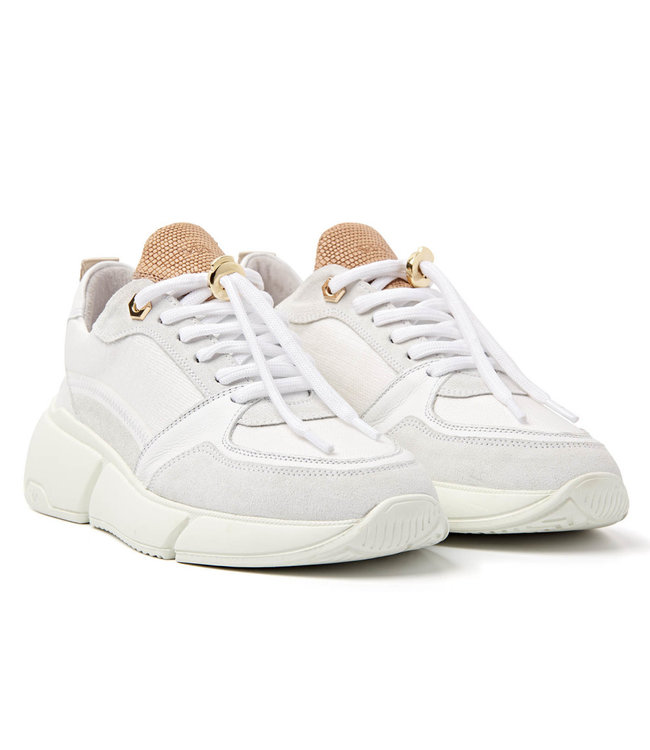 Witte Hoge Canvas Sneakers - Uwantisell.nl