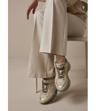 Summum Woman 8s841-8451/000122-Ivory  Sneaker transparent sole