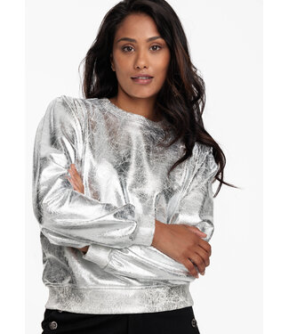 Tramontana D07-10-601/008000-Silver  Sweater Shiny Coating