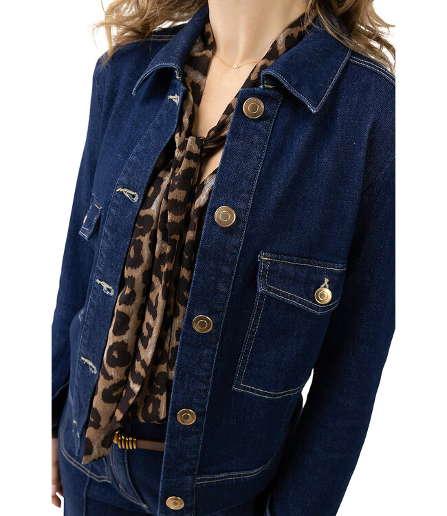 2517006/Donkerblauw  Damica