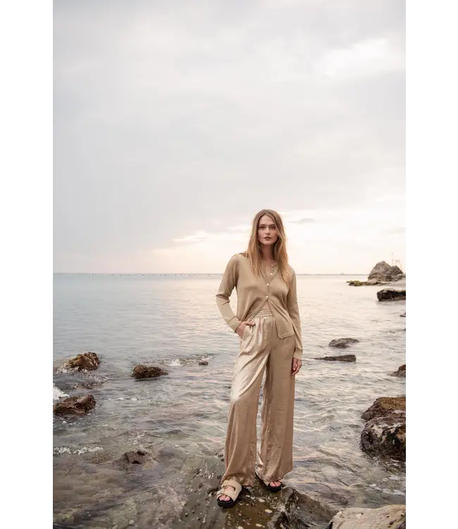 4s2550-12114/000707-Sesame  Pants Metallic Lamee