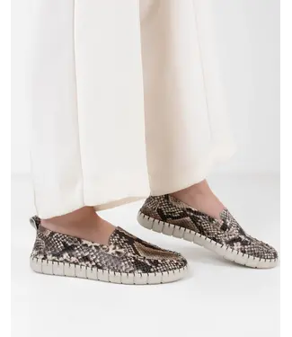 Shabbies SH001201051W Nova Lofa Python print BlackWhite