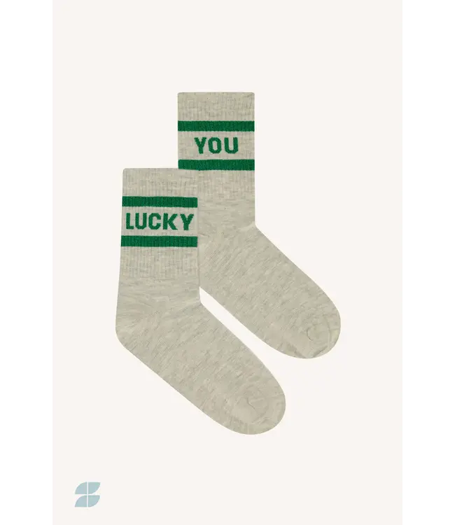 25528407/springgreen  lucky sparkle grey socks