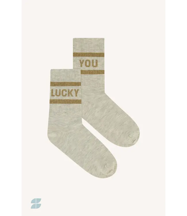 25528407/gold  lucky sparkle grey socks