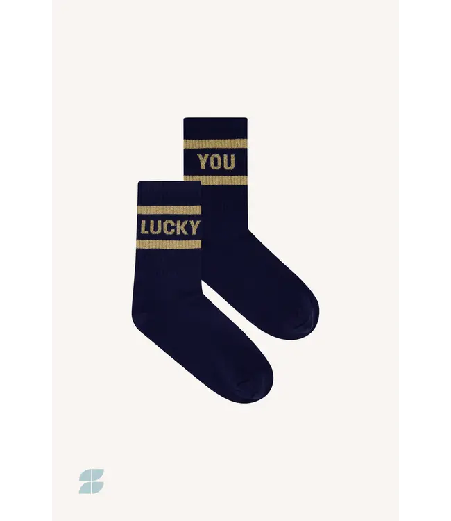 25528404/gold  lucky sparkle navy socks