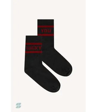 by-bar 25528403/wine  lucky sparkle dark grey socks