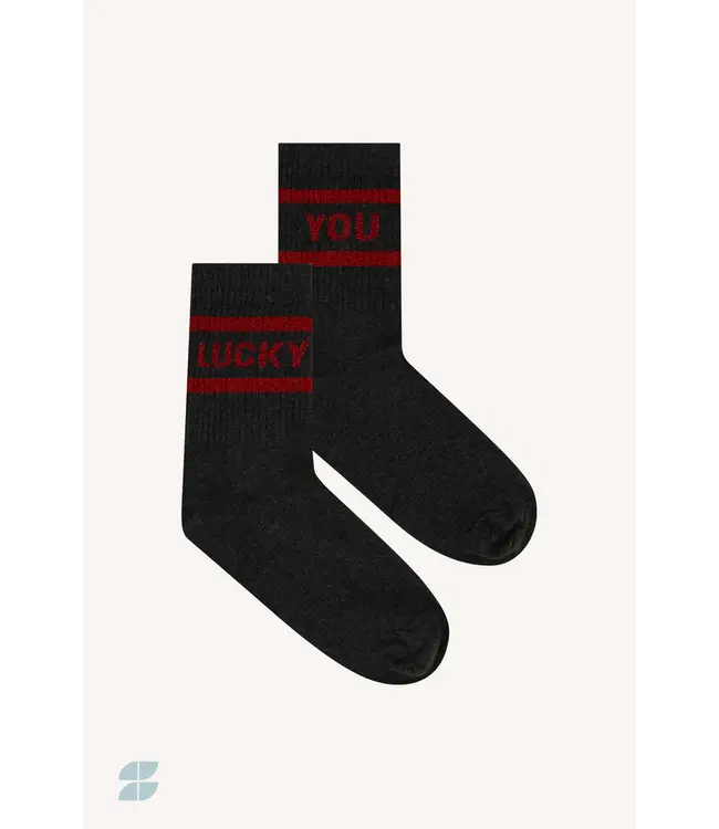 25528403/wine  lucky sparkle dark grey socks