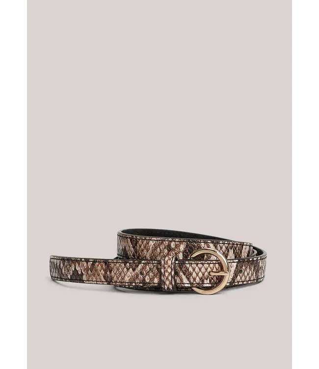 8s1058-8597/000120-MultiColour  Belt Snake