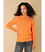 Ivy Beau 4200611/Mandarinorange  Rose  Tops
