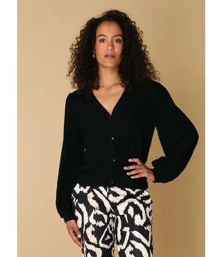 Ivy Beau 4200618/Black  Rudy  Cover ups