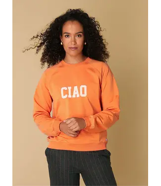 Ivy Beau 4200644/Mandarinorange  Remi  Tops