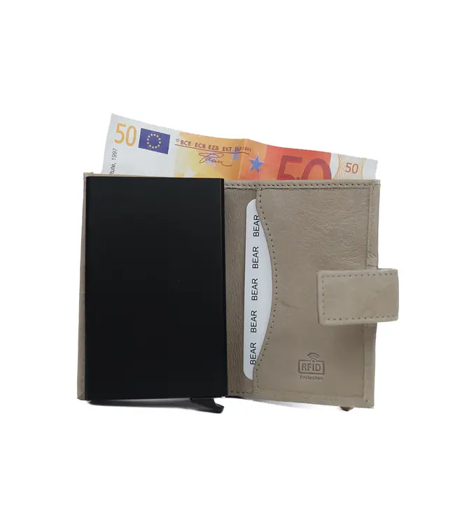 CP6814  Pasjeshouder Elsie ICE GREY