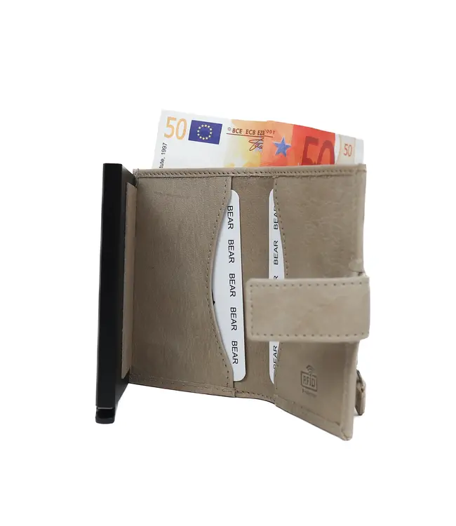 CP6814  Pasjeshouder Elsie ICE GREY