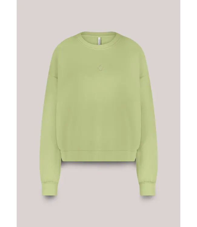 3s5067-30413/000604-MistyLime  Jersey balloon Soft sweat