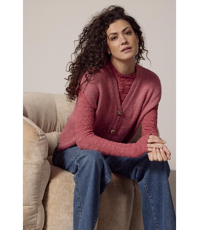 C43-18-401/004510-Rosewood  Brushed Stretch Lace Top