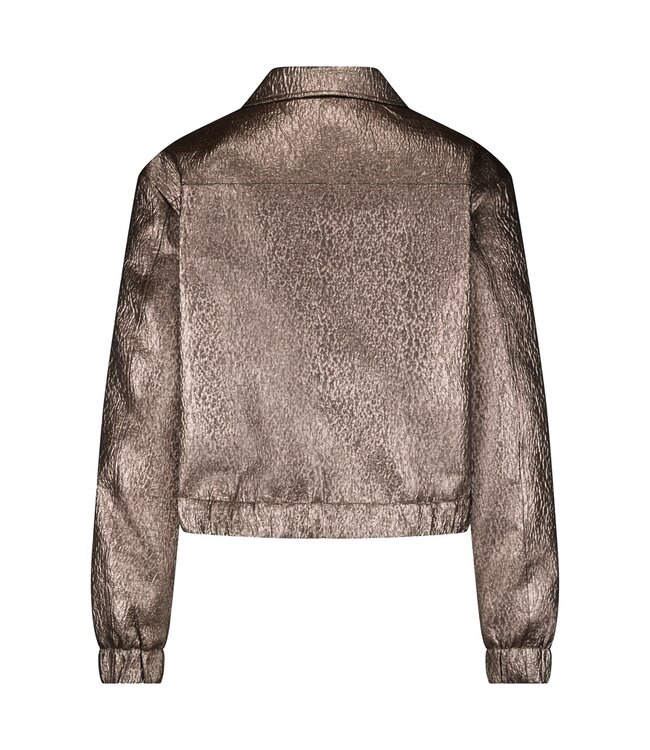 SRB4654/Coppergold  Bomber Metallic