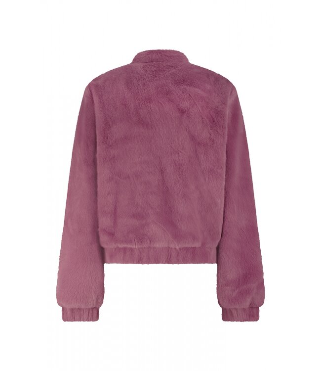 2527004/RozeSoft  Daphne