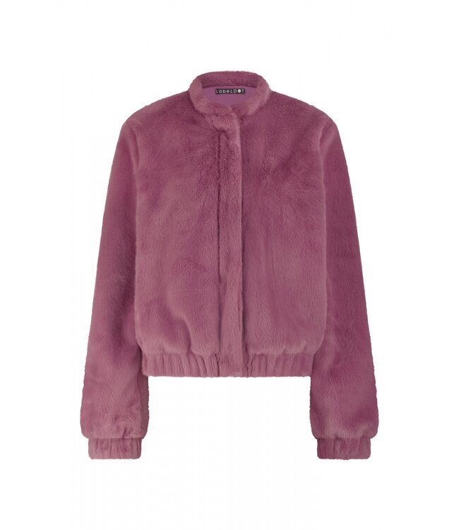 2527004/RozeSoft  Daphne