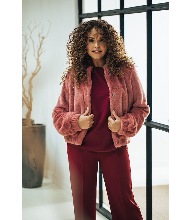 2527004/RozeSoft  Daphne