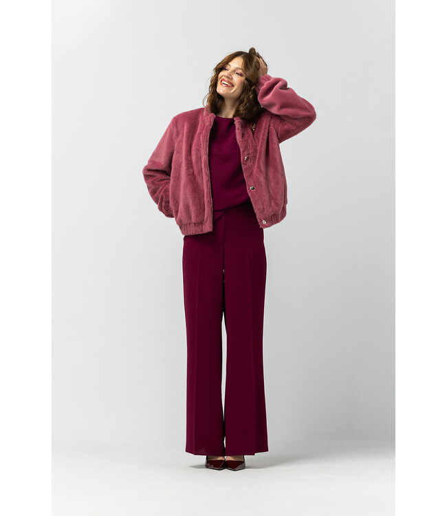 2527004/RozeSoft  Daphne