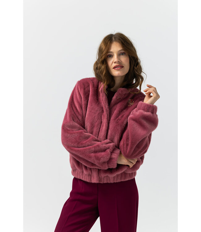 2527004/RozeSoft  Daphne