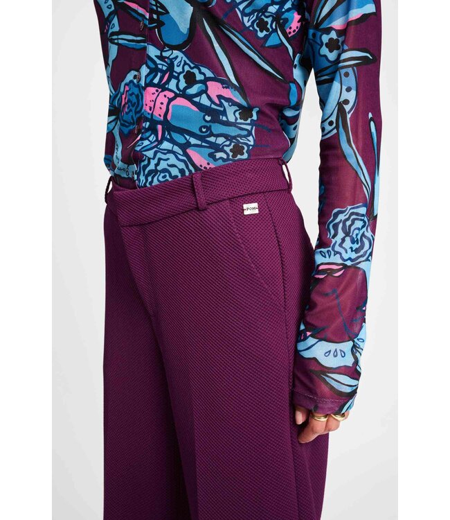 SP9351/Purple  PANTS - Lara Plum