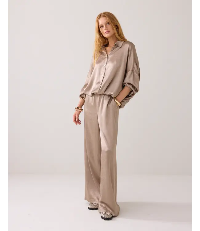 2s3145-12294/Funghi  Glanzende wijde blouse