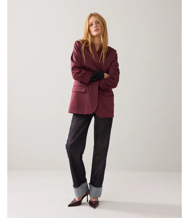 1s1270-12332/000558-Merlot  Blazer Shine blend