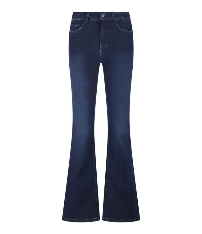 2528010/DonkerBlauw  Roos