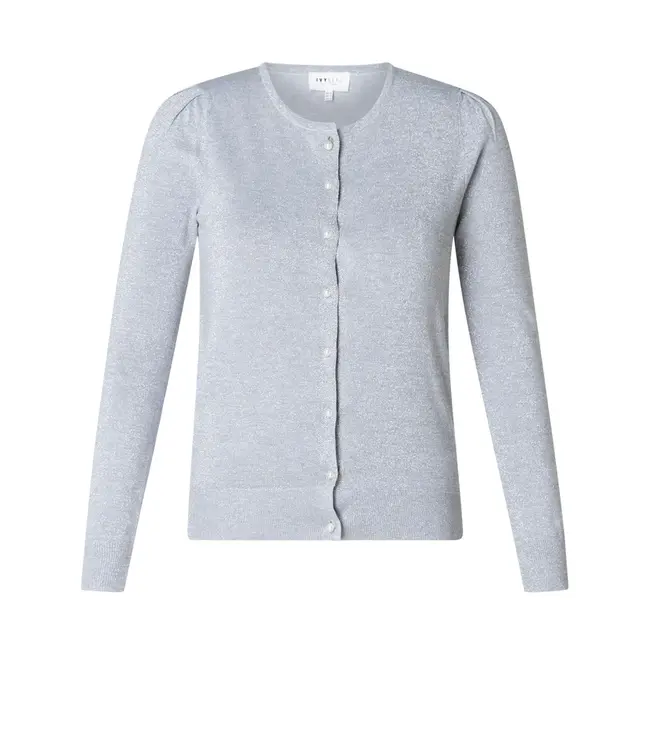 4200784/Silver  Azra Cover ups