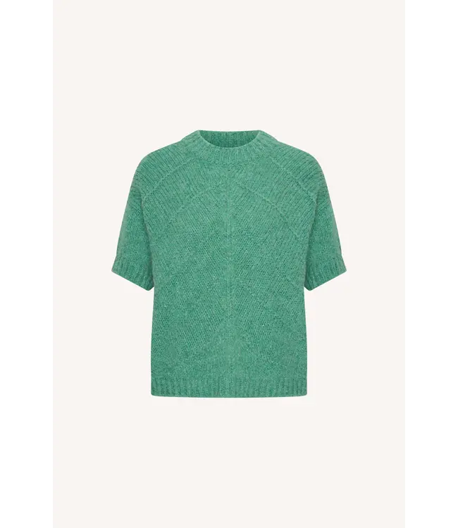 26215008/LuckyGreen  vic pullover