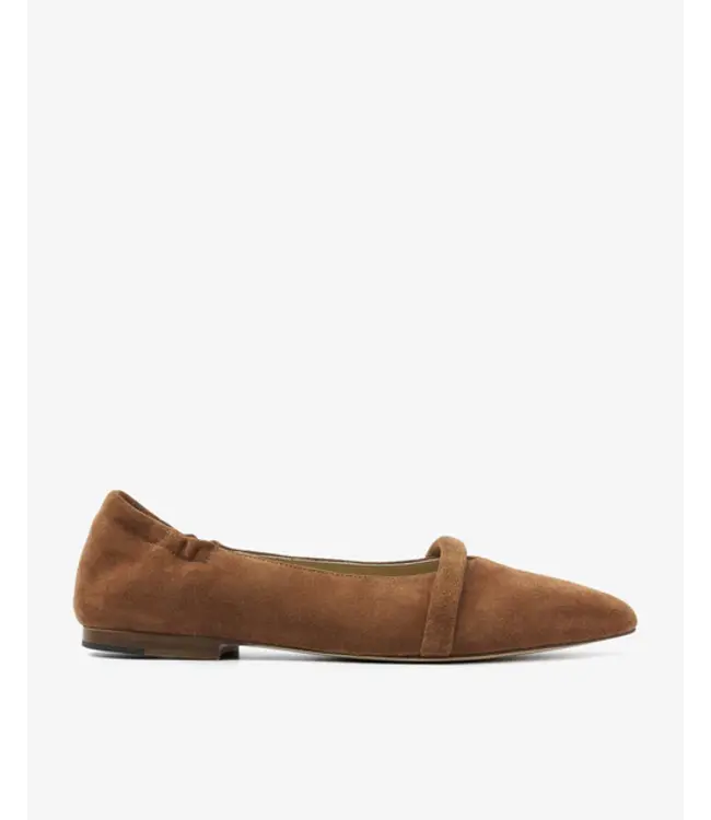 62169-05-1084  Lola Rose Sierra - Nocciola Ballerina