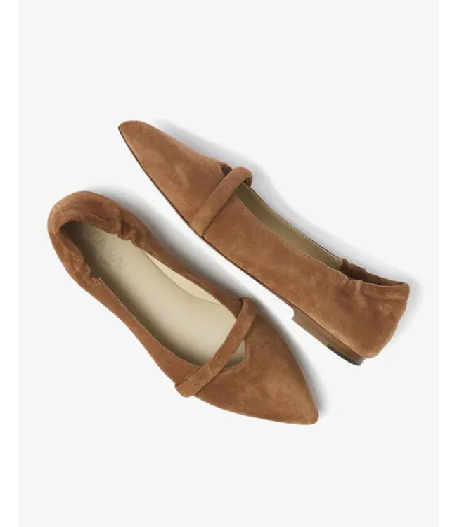 62169-05-1084  Lola Rose Sierra - Nocciola Ballerina